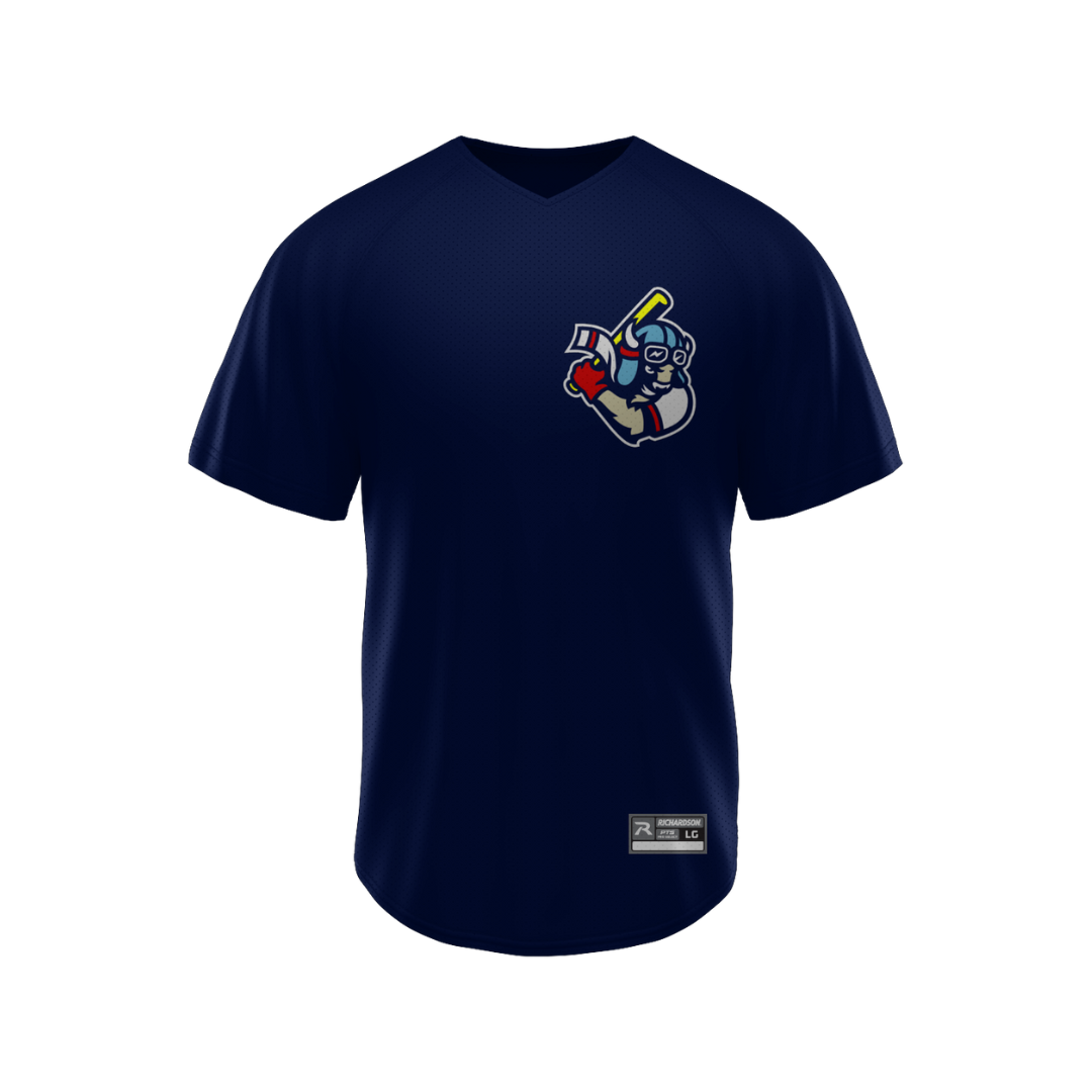 Flying Bison Alternate Jersey